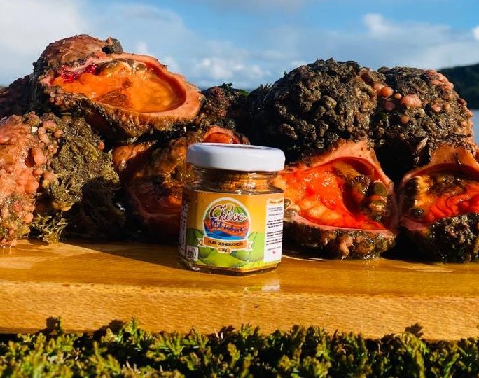 01Chiloé Mil Sabores productos (1)2026