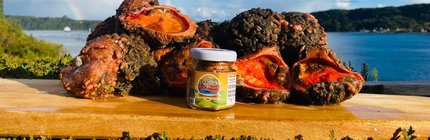 01Chiloé Mil Sabores productos (1)2026