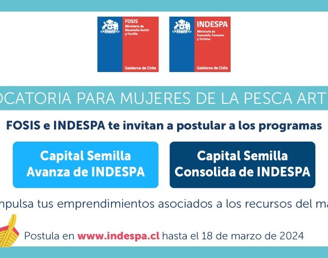 03_Capital Semilla