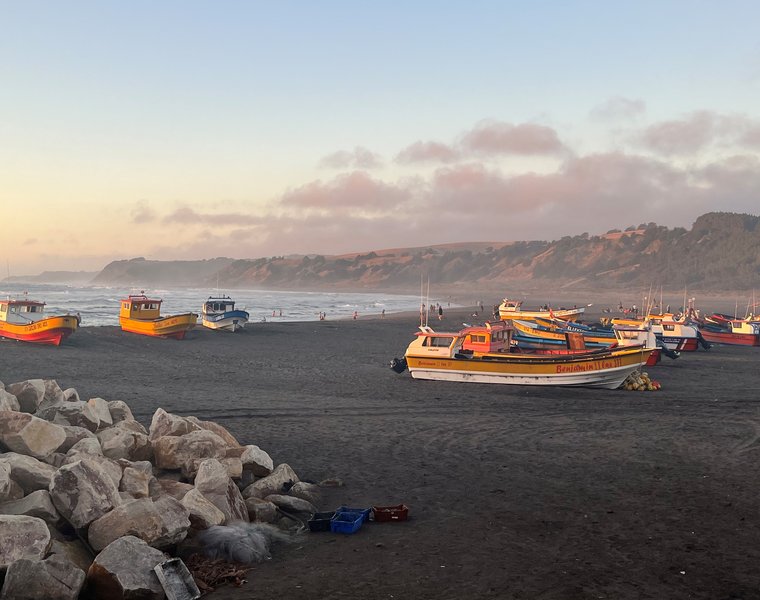 101.Caleta de Bucalemu