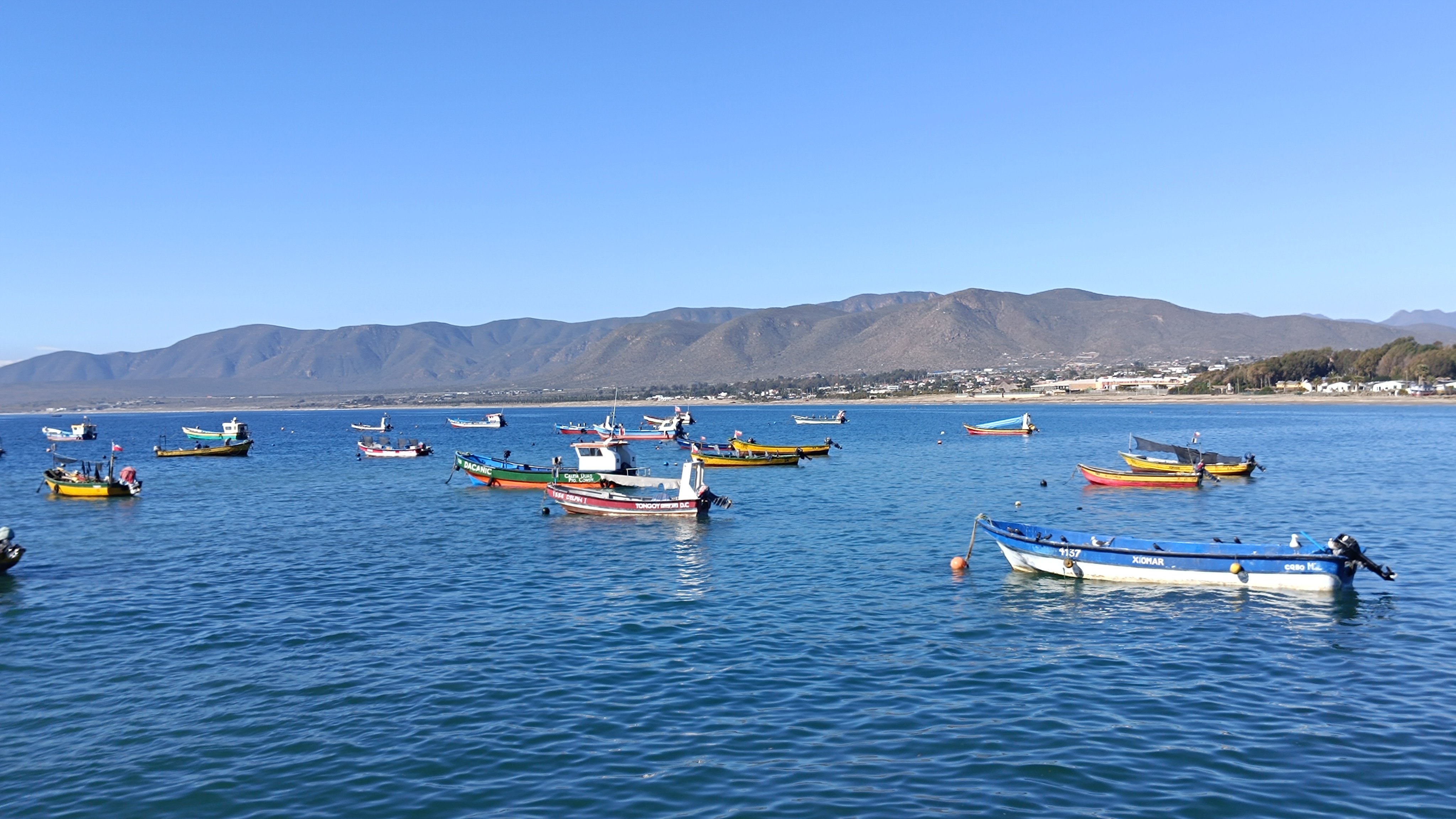Guanaqueros