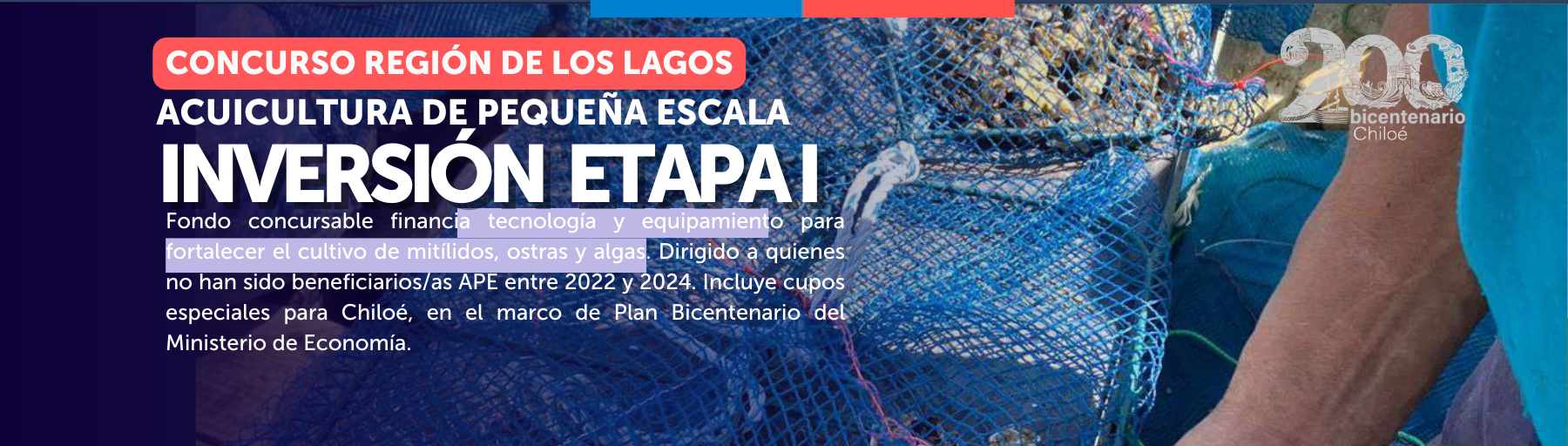 Nueva web 1800px (3)