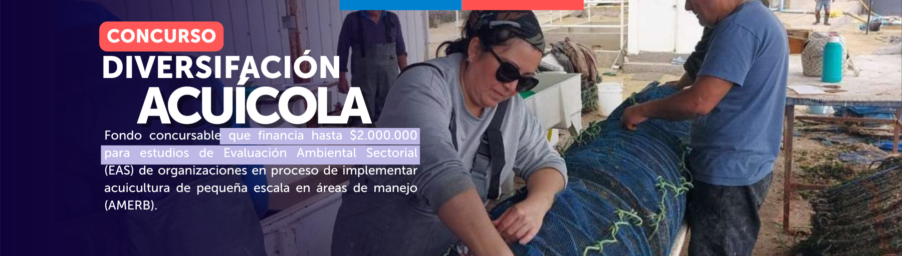 Nueva web 1800px (3)