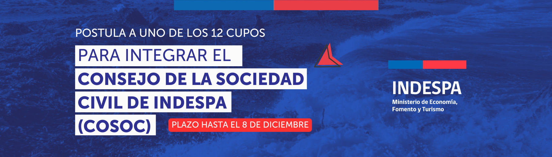 cosoc8dic